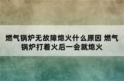 燃气锅炉无故障熄火什么原因 燃气锅炉打着火后一会就熄火